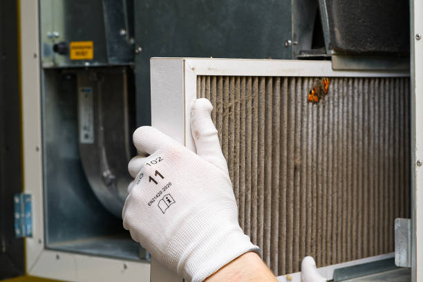 Best Ductwork Cleaning Services  in Barry, IL