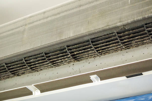 Best HVAC Maintenance and Cleaning  in Barry, IL